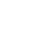 Activity Report